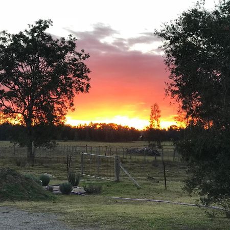 Lovedale Red Gum Cottage Kültér fotó