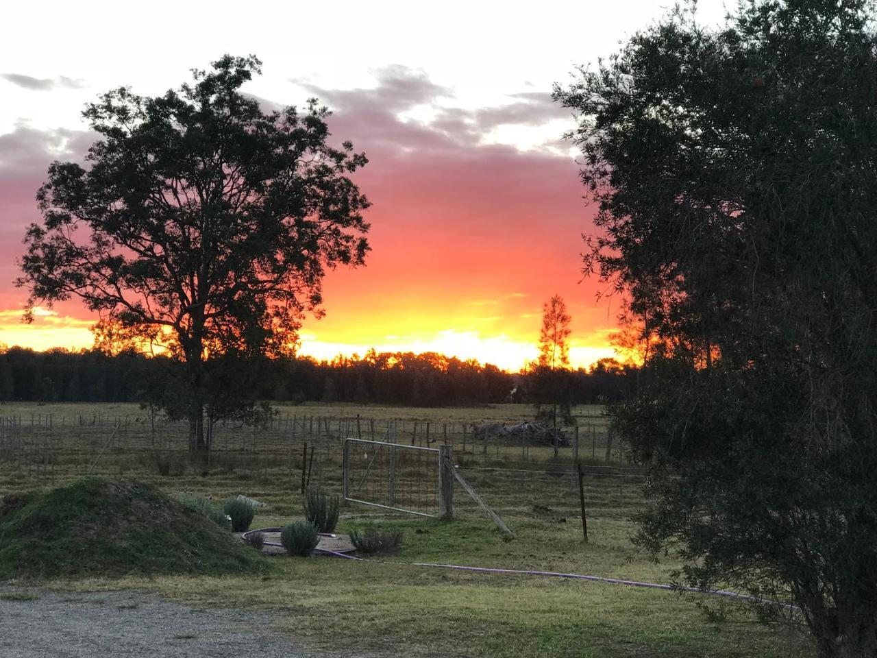 Lovedale Red Gum Cottage Kültér fotó