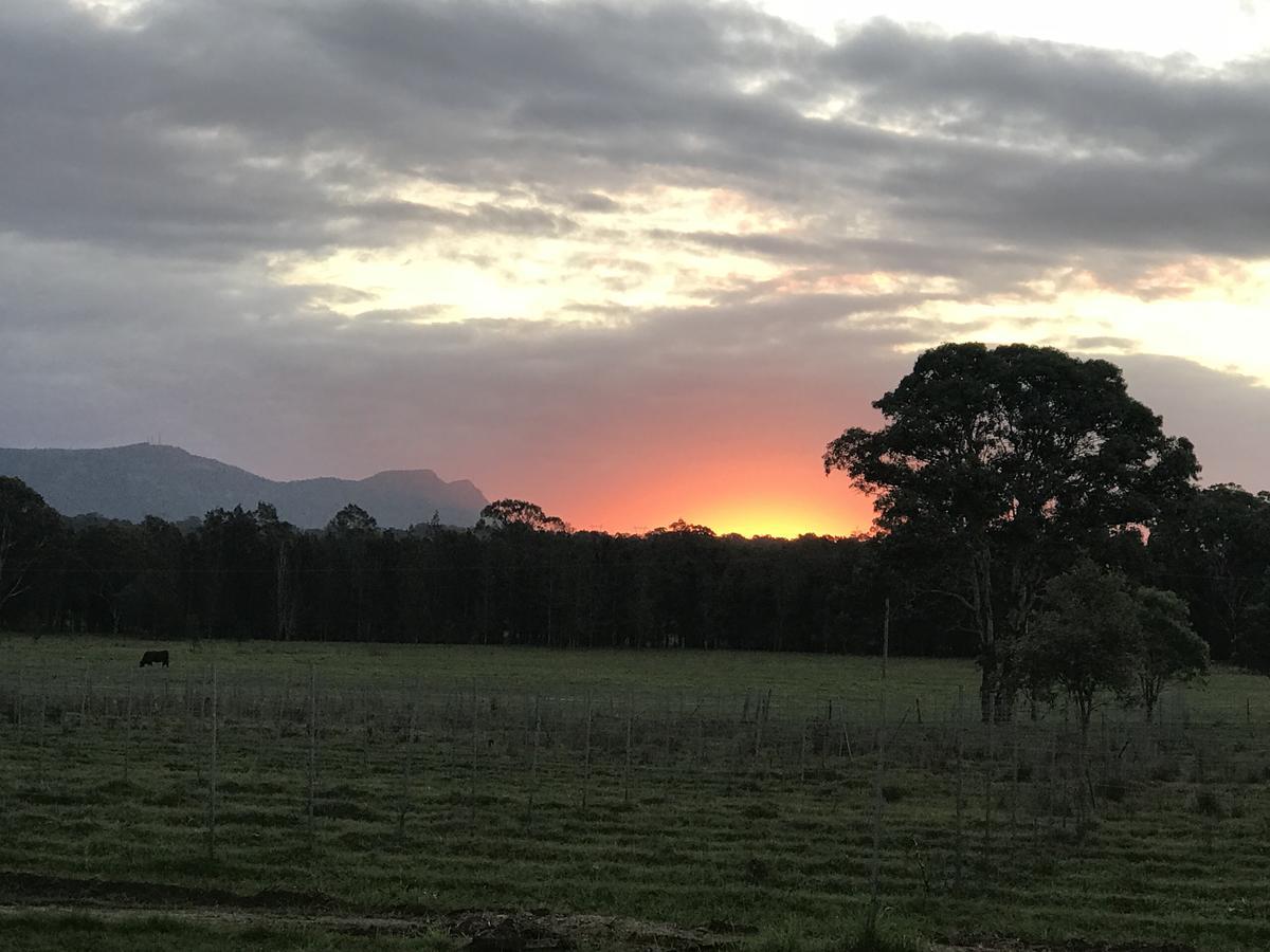 Lovedale Red Gum Cottage Kültér fotó